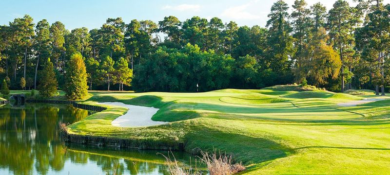 Kingwood golf course with pine trees